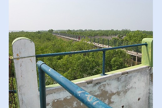 Viaggio in India 2008 - Sunderbans